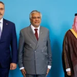 Ishaq Dar Holds Talks With Saudi, Egyptian and Turkish Counterparts on Regional Security Syndicate Journal Pakistan